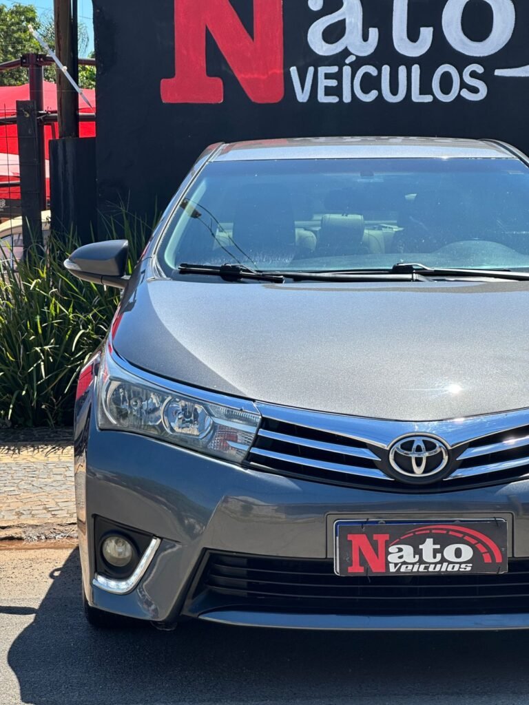 IMG-20260323-WA0064(1)