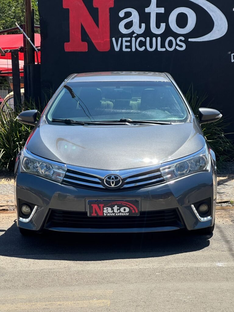 IMG-20260323-WA0074(1)