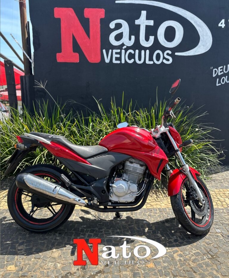 WhatsApp Image 2026-03-17 at 11.33.47