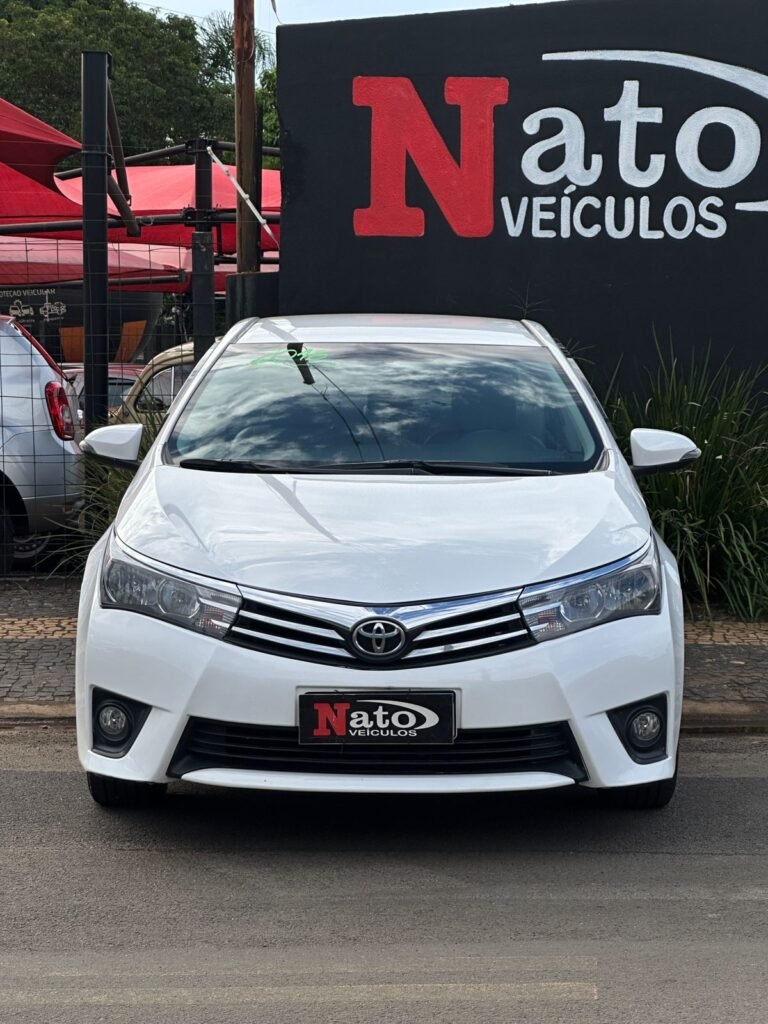 WhatsApp Image 2026-04-02 at 17.21.15