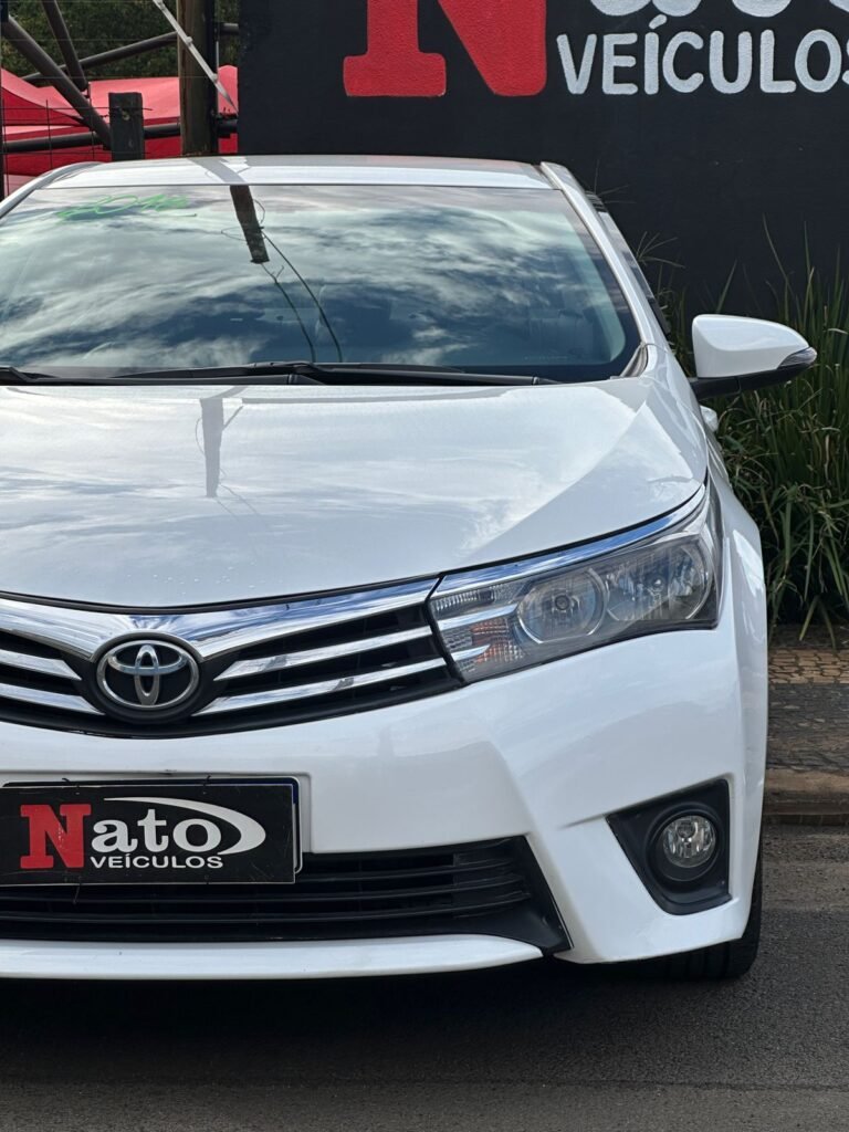 WhatsApp Image 2026-04-02 at 17.21.16 (1)