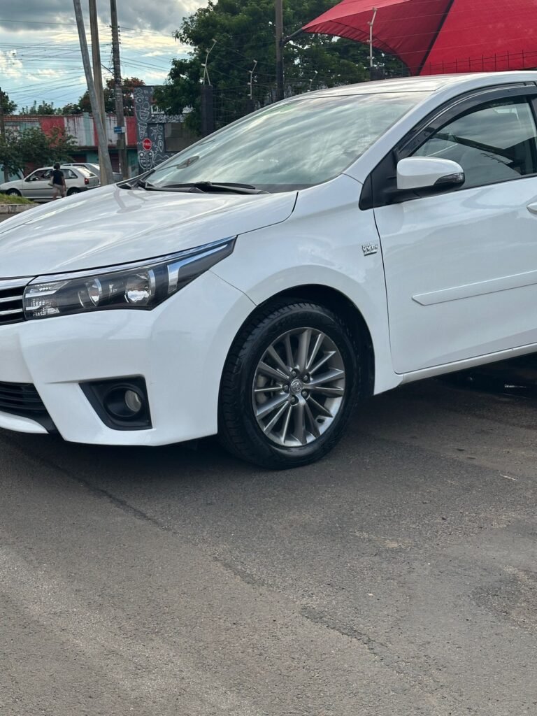 WhatsApp Image 2026-04-02 at 17.21.16