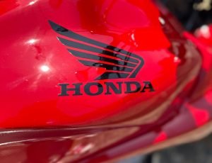 WhatsApp Image 2026-03-17 at 11.33.48 (2)